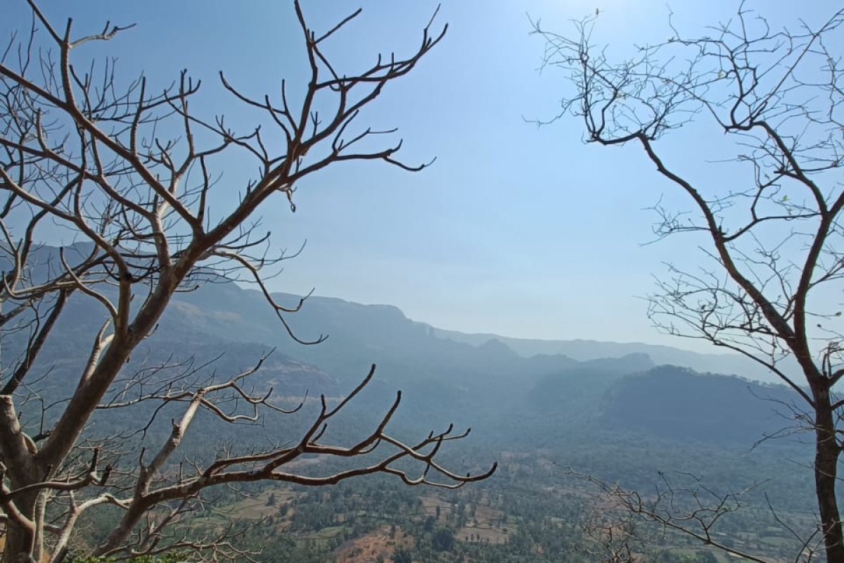 Frame 48095875